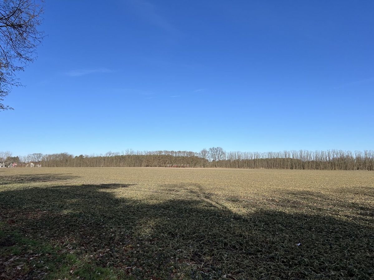 Agrarlandschaft mit Feldern und Havelseen bei Potsdam in Brandenburg