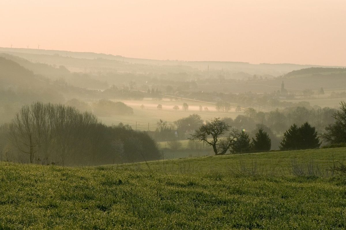 Morgennebel über Wiesen, Waldrändern und einem Dorf im Naturpark Thüringer Wald bei Wutha