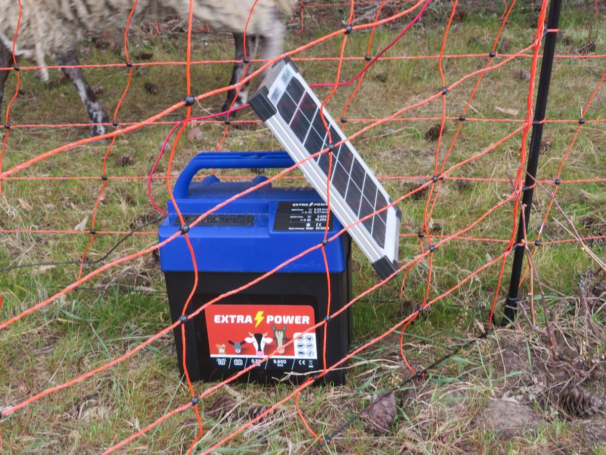 Solarbetriebenes Weidezaungerät auf einer Weide