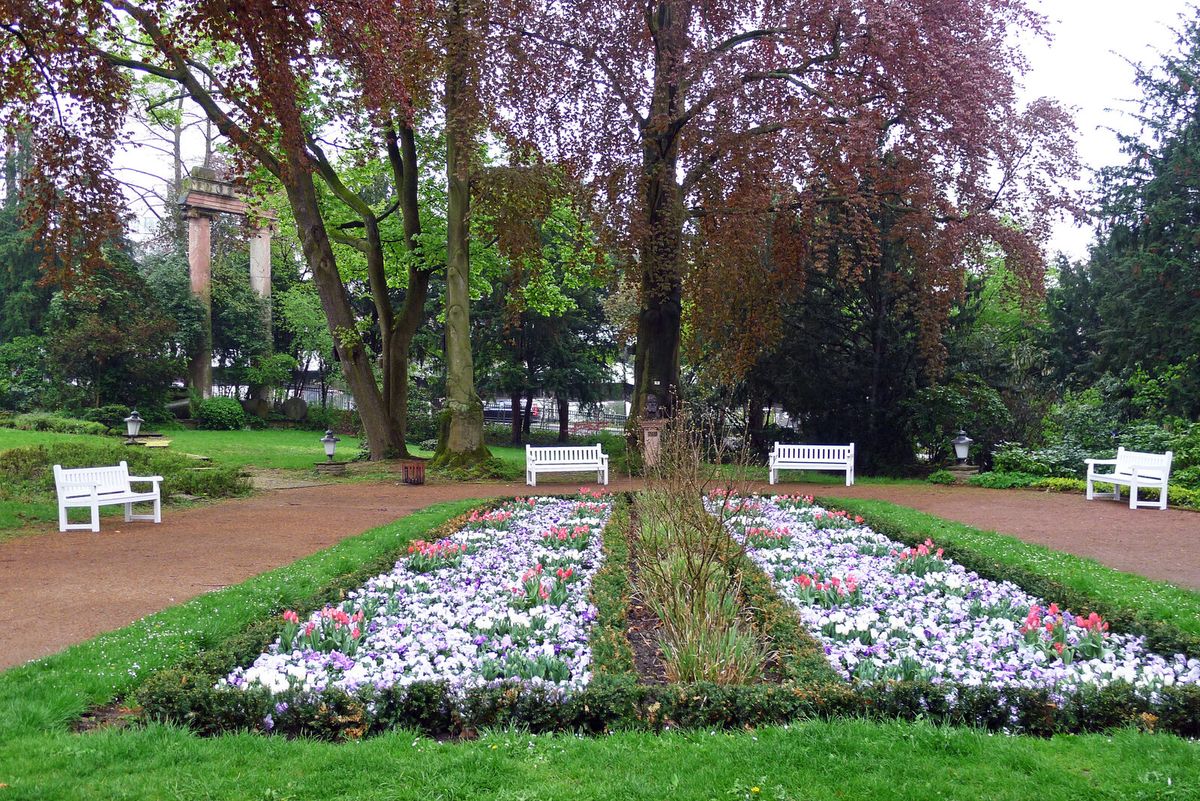 Blühende Bäume und Rasenflächen im Kurpark von Wiesbaden
