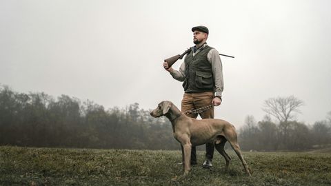 Hundesteuer für Jagdhunde: Münster halbiert nach der Brauchbarkeitsprüfung, Köln nicht