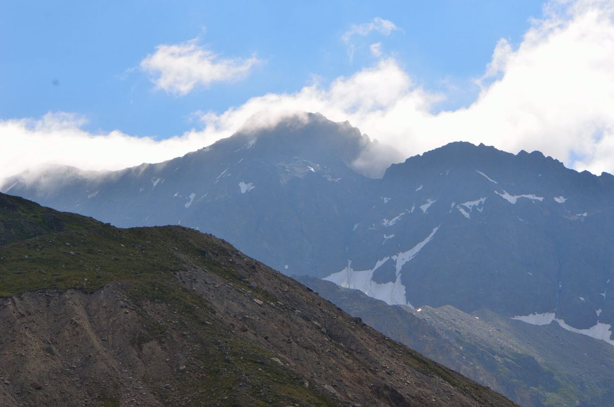 Almgebiet im Kaunertal in Tirol mit Weidevieh