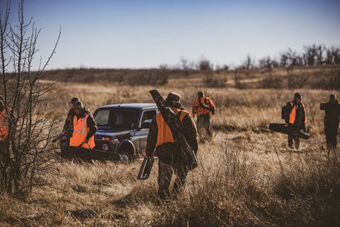 Drückjagd Tipps: Sicher und erfolgreich jagen