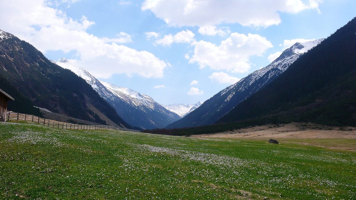 Alpine Tallandschaft mit verschneiten Gipfeln in den Hohen Tauern