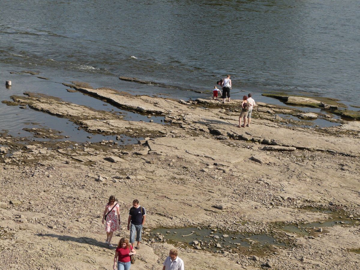 Trockengefallenes Flussbett bei Niedrigwasser