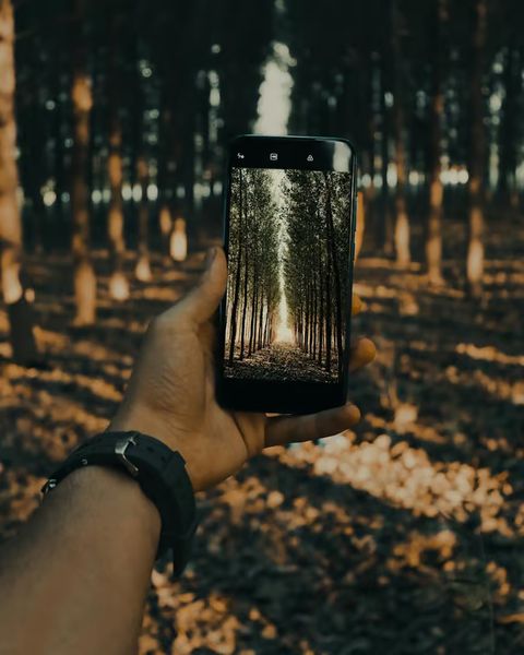 Jagdschein lernen auf Android: So nutzt du Jagdkompass optimal