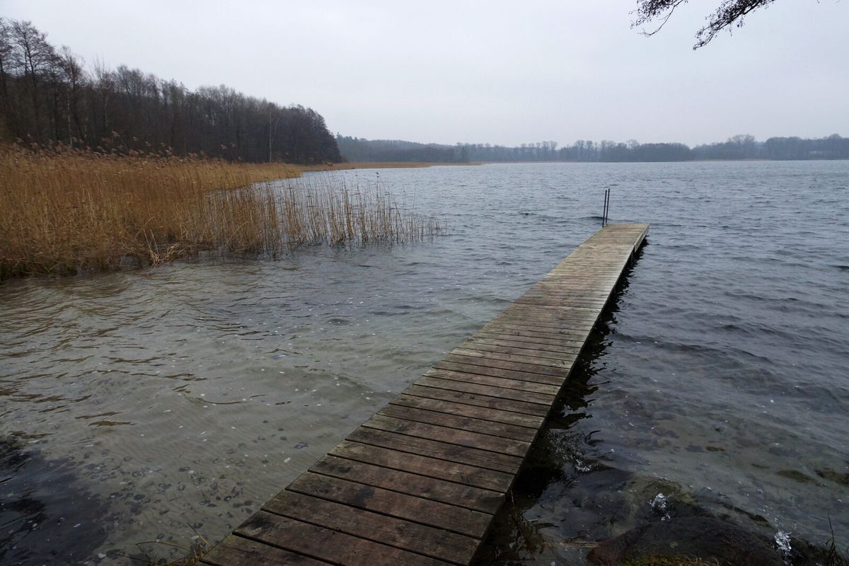 Landschaft im UNESCO-Biosphärenreservat Schaalsee bei Zarrentin