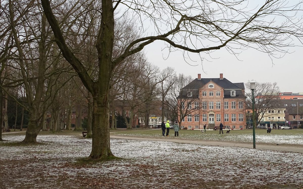 Grünanlage im Drosteipark in Pinneberg, Schleswig-Holstein