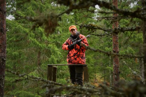 Die Jagdarten: Ein Überblick