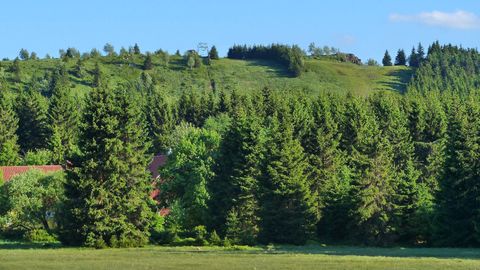 DM Sommerbiathlon im Harz: Zwei Doppelmeister und ein Schülerfeld von 68 Startern