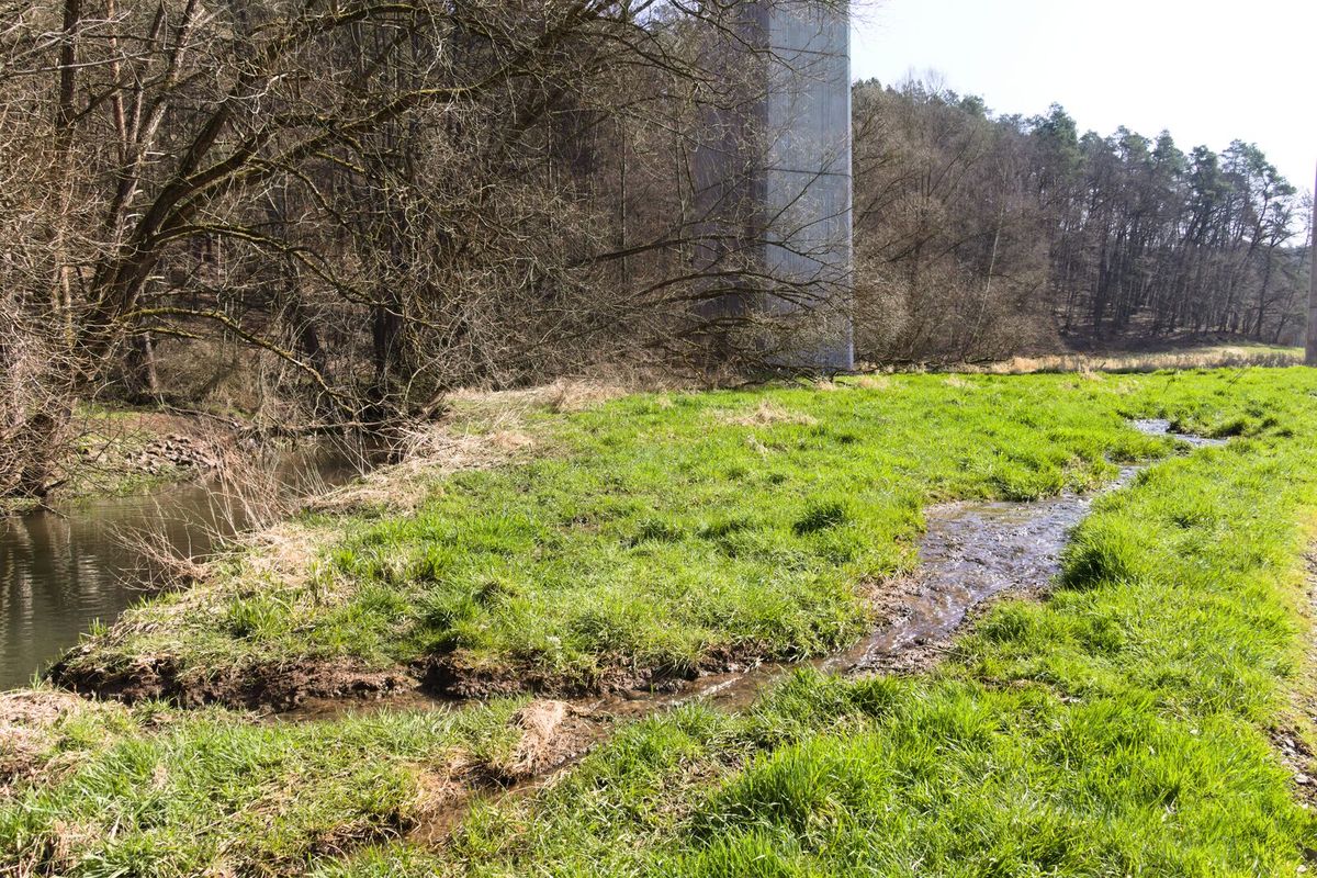Von einem Biber aufgestauter Bach an einer Bahnbrücke